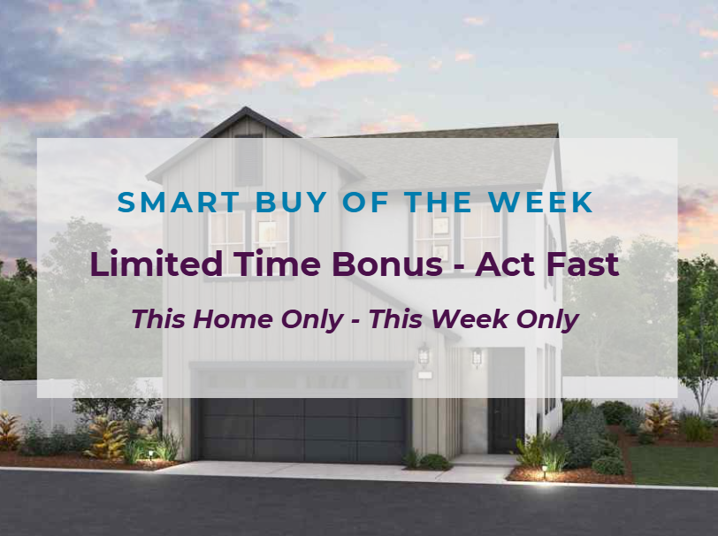 0011 8461 Viborg Lane