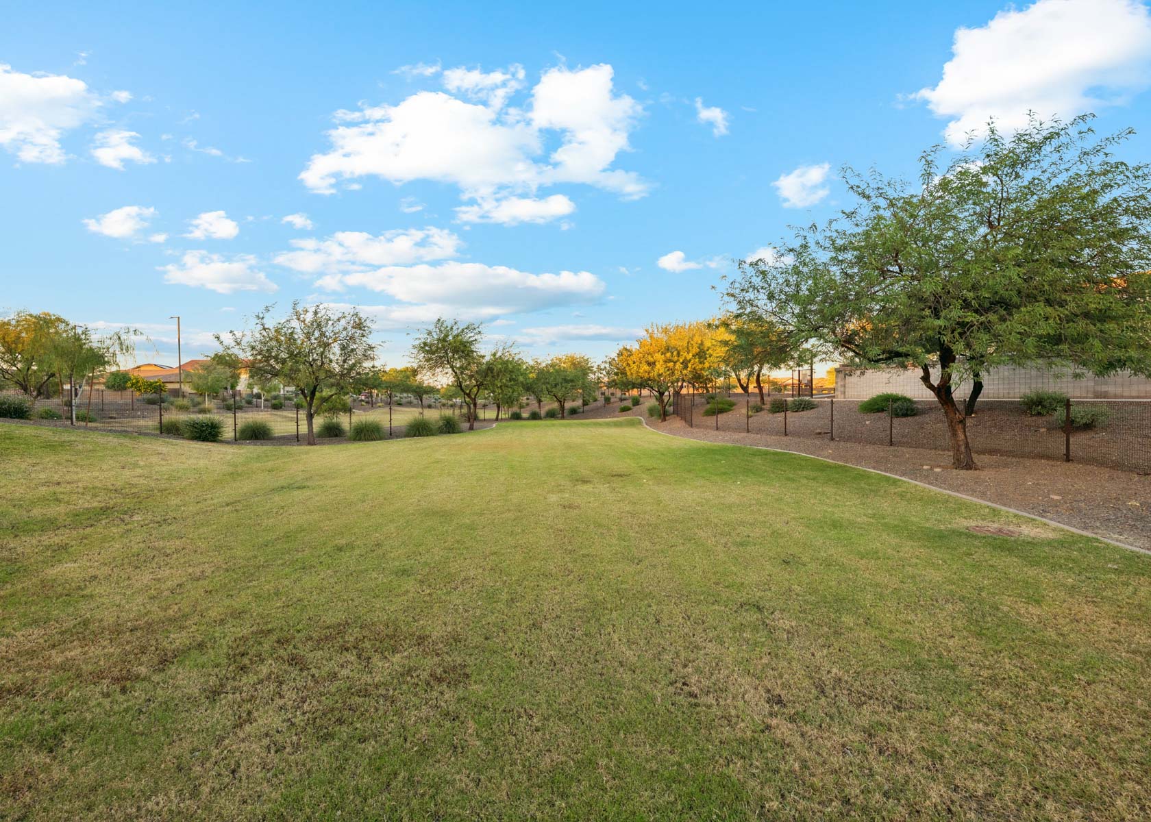 A large green field with trees.