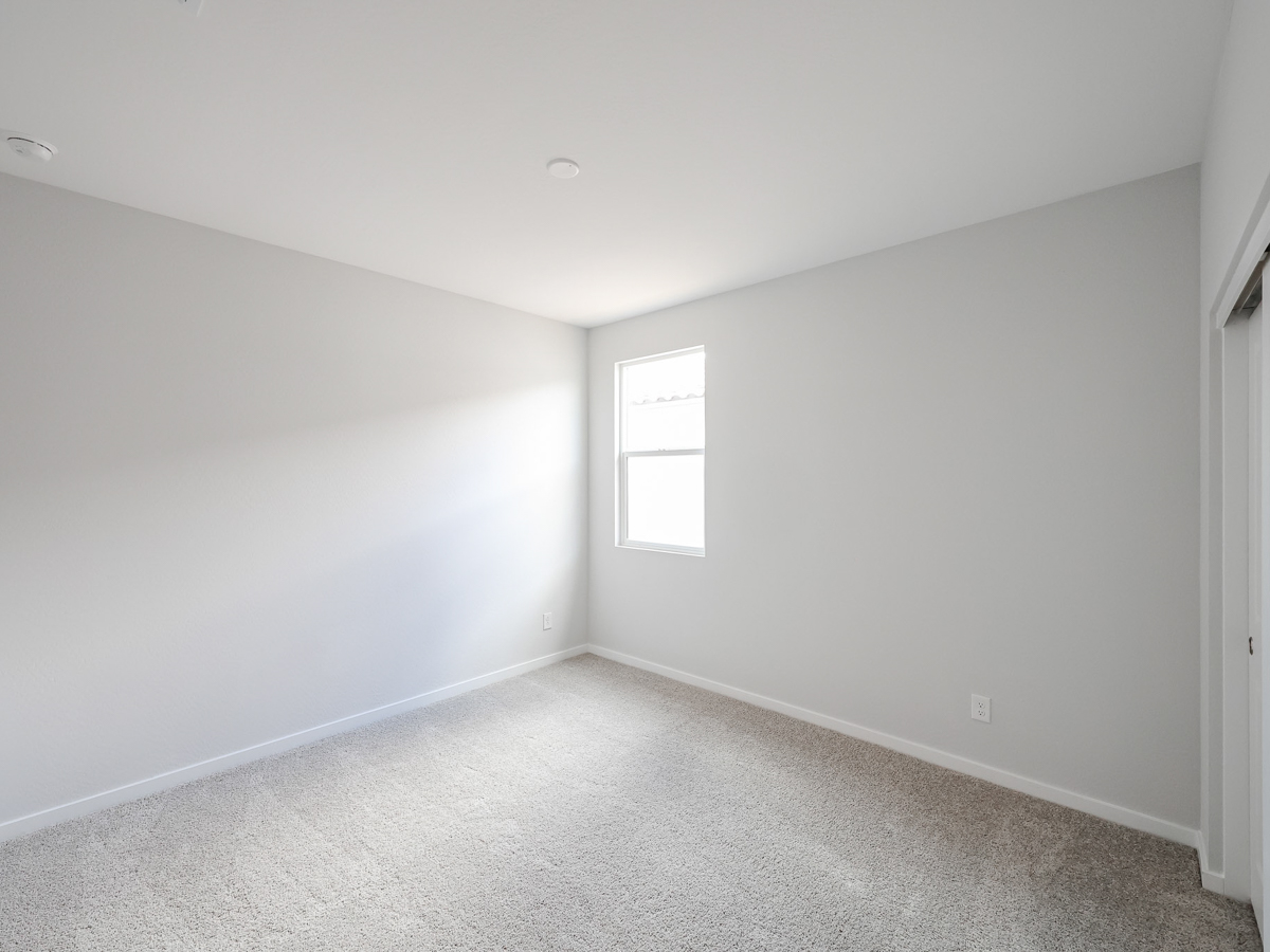 A room with a carpet and windows.