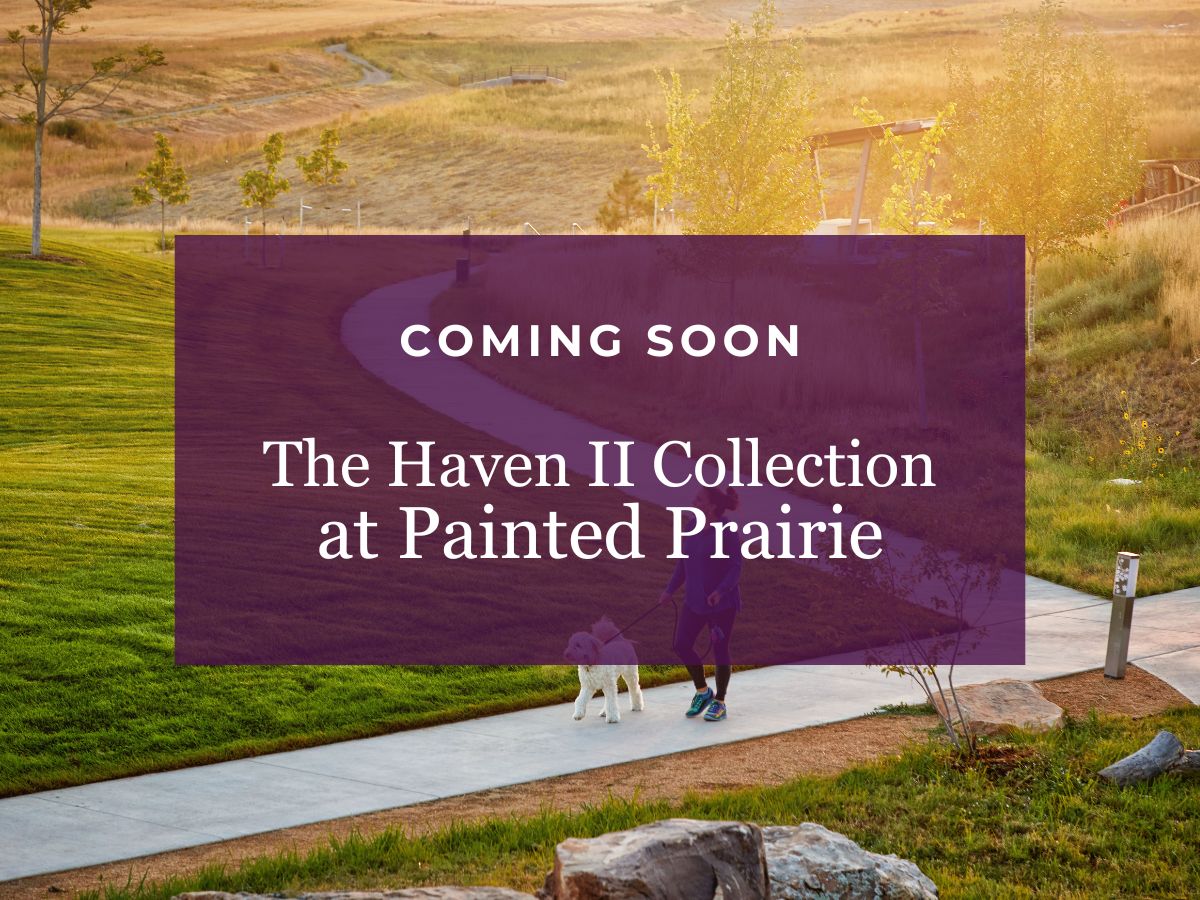 A person walking a dog.