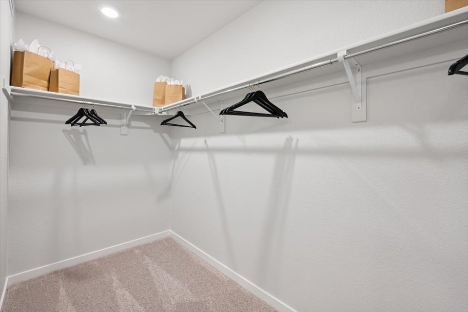 A white shower with a black towel from the ceiling.