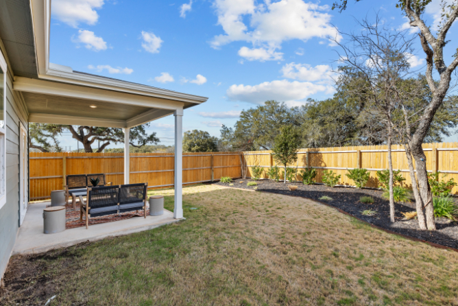 A backyard with a bench and a tree.